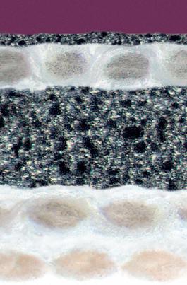 Офсетное полотно Amarant